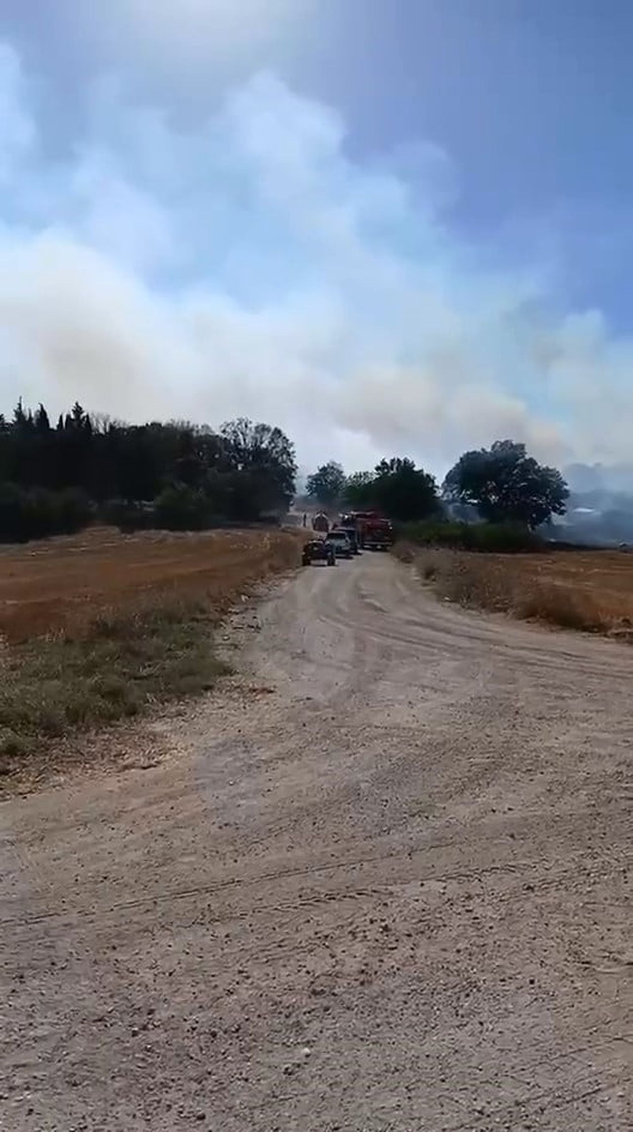 BURSA’NIN NİLÜFER İLÇESİNDE BÜYÜKBALIKLI İLE ÇEKRİCE MAHALLELERİ ARASINDA KALAN BÖLGEDE ÇIKAN...