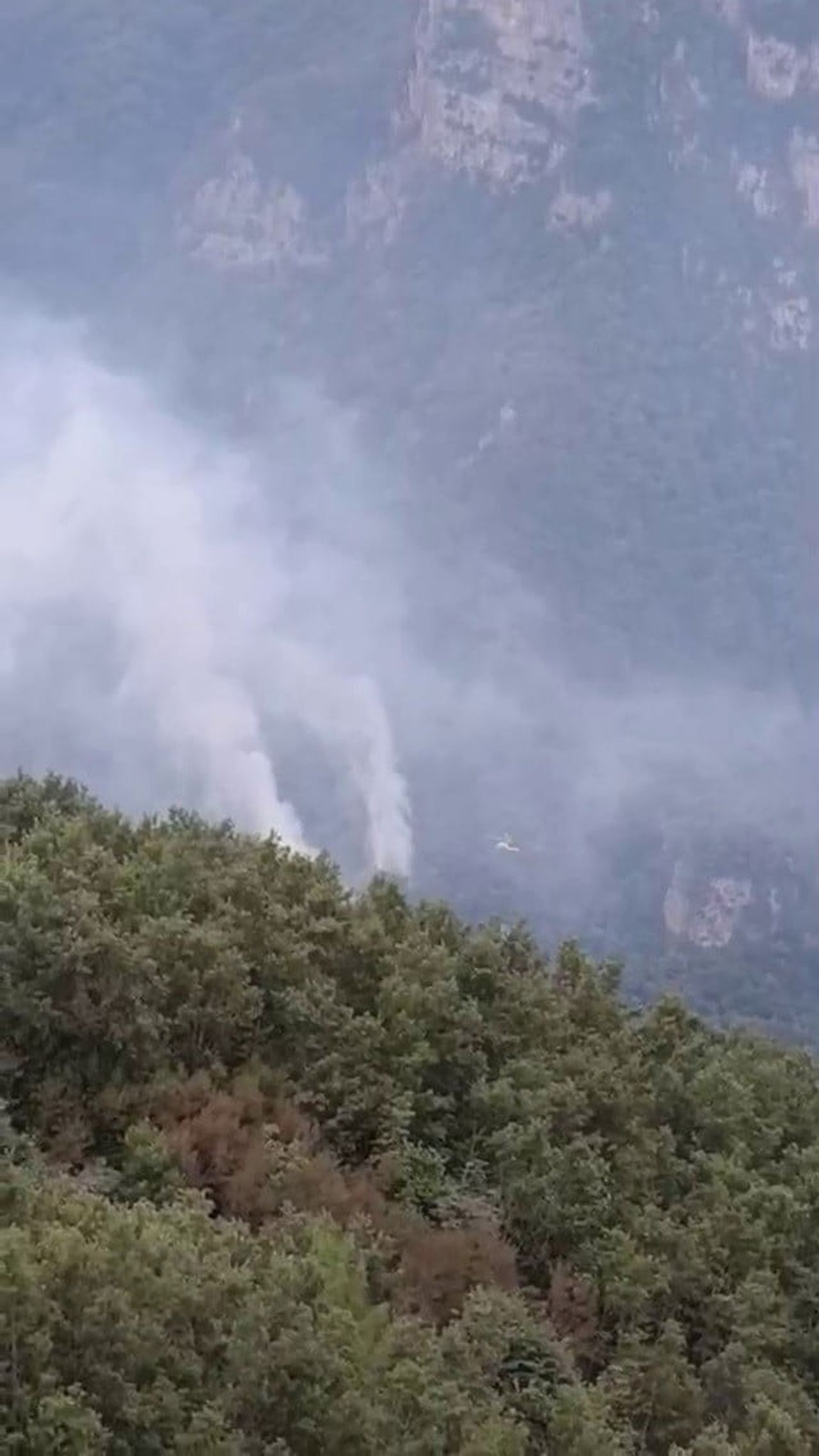 HATAY'DA ÇIKAN ORMAN YANGINI HAVADAN VE KARADAN MÜDAHALEYLE KONTROL ALTINA ALINDI. (ARŞİV)
