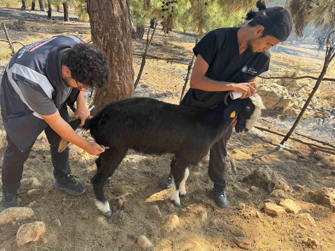 YANGINLA MÜCADELE ÇALIŞMALARINA BAŞTA İTFAİYE DAİRESİ BAŞKANLIĞI OLMAK ÜZERE ASAT, SOSYAL...