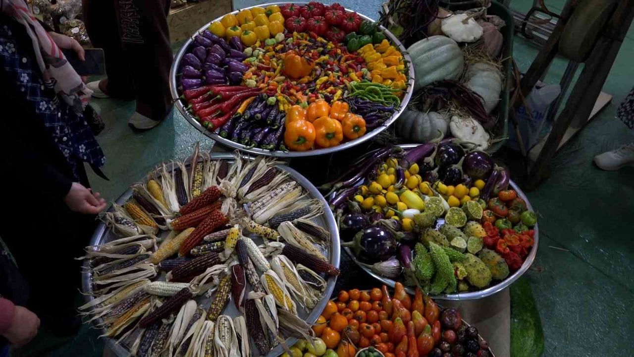 6. GASTRORİZE GASTRONOMİ FESTİVALİ RİZE SAHİL DOLGU ALANINDA HAZIRLANAN FESTİVAL ALANIYLA...