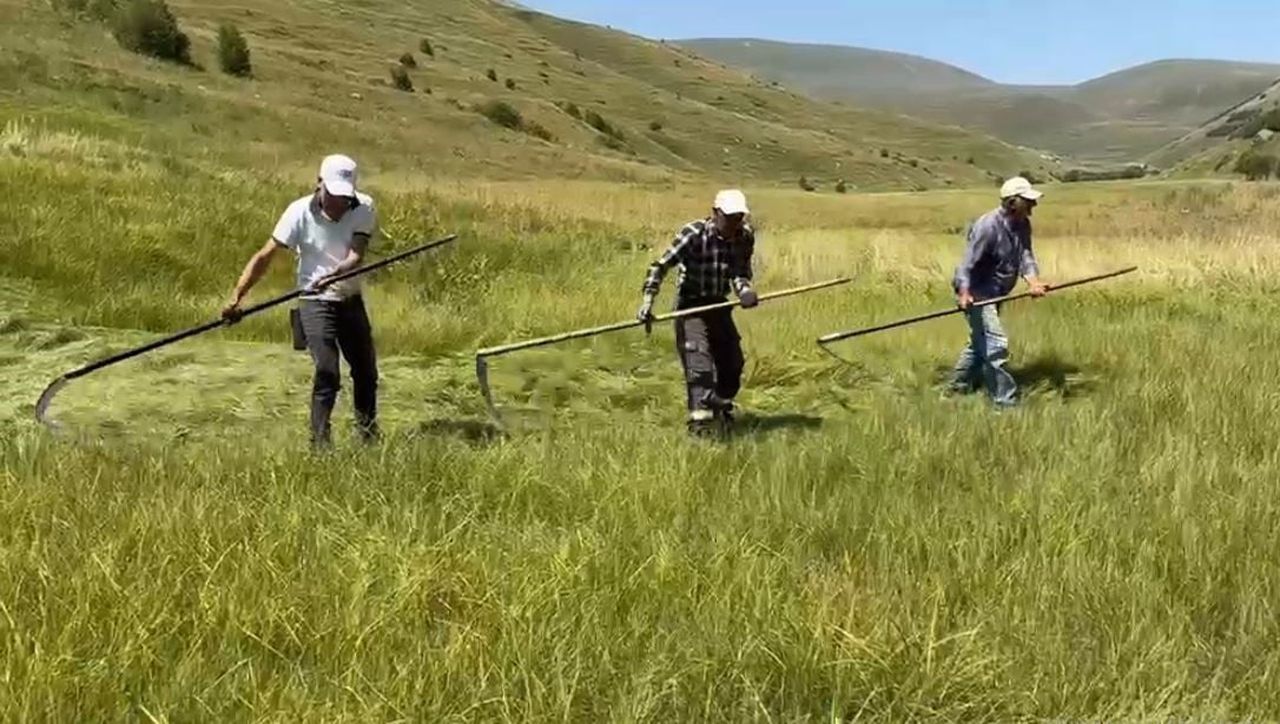 ARDAHAN’DA YAZ AYLARINDA ETKİLİ OLAN SAĞANAK YAĞIŞLAR, TARIMSAL FAALİYETLERİN ZAMANINDA...