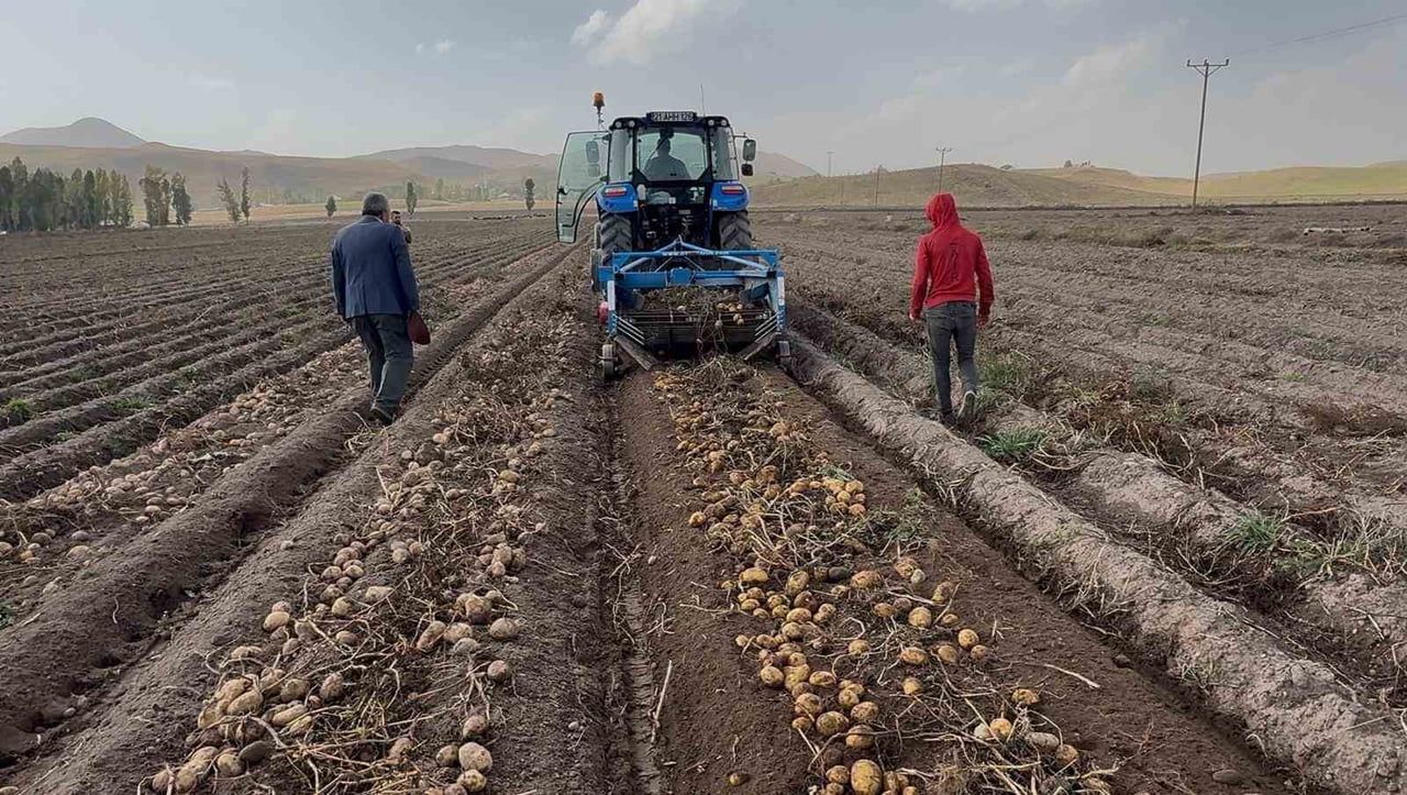 PATNOS İLÇESİNDE PATATES HASADI TÜM HIZIYLA DEVAM EDİYOR