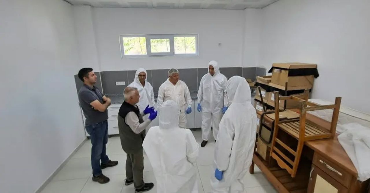 AYDIN’DA KESTANE ÜRETİMİNİN SÜRDÜRÜLEBİLİRLİĞİ İÇİN KESTANE GAL ARISINA KARŞI BİYOLOJİK MÜCADELE...
