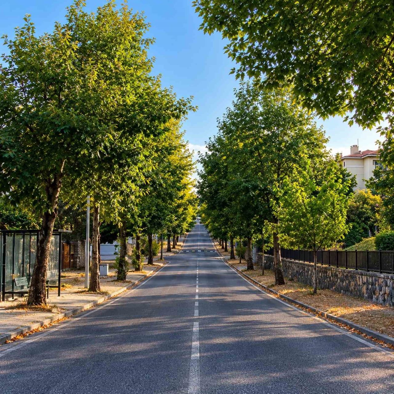 DÜZCE’DE FOTOĞRAF TUTKUNU HASAN FİDAN, DOĞANIN DEĞİŞİMİNİ GÖZLER ÖNÜNE SEREN ÖZEL BİR ÇALIŞMAYA...