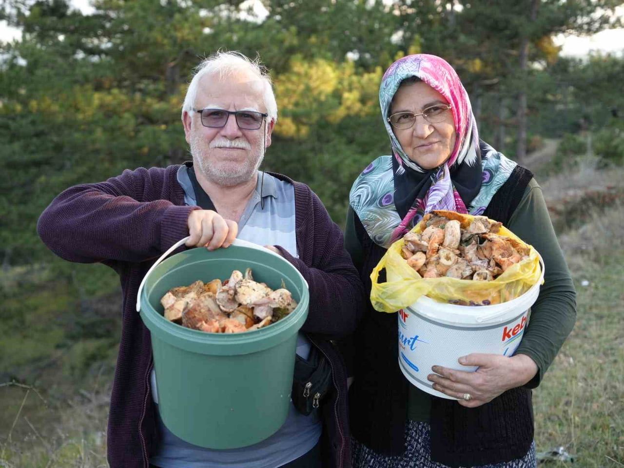 KASTAMONU'DA YAĞIŞLARIN ARDINDAN ORMANLARDA MANTAR BOLLUĞU YAŞANIYOR. VATANDAŞLAR ÖZELLİKLE...