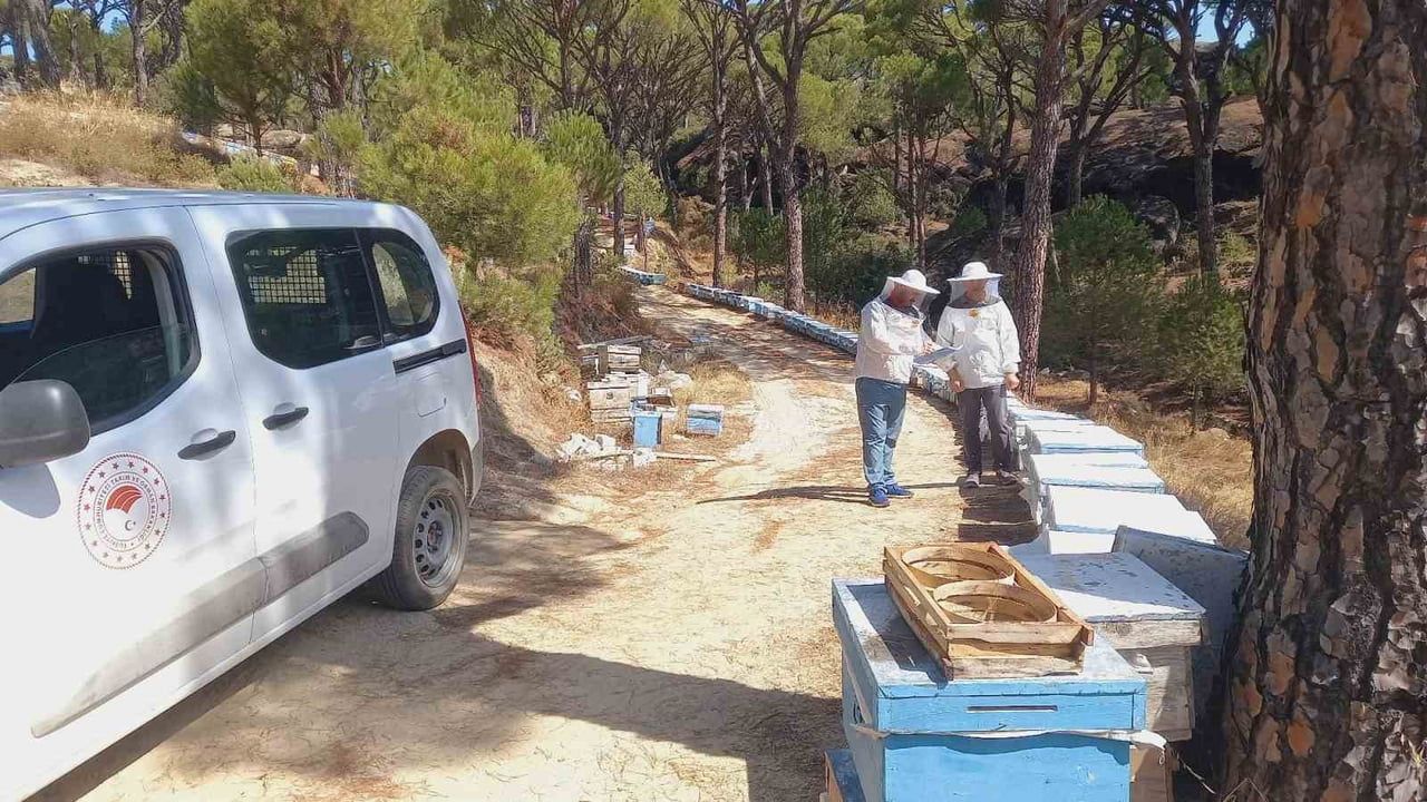 BOZDOĞAN’DA ARICILIK FAALİYETLERİNİN DESTEKLENMESİ AMACIYLA ARILI KOVAN DESTEĞİ KAPSAMINDA...