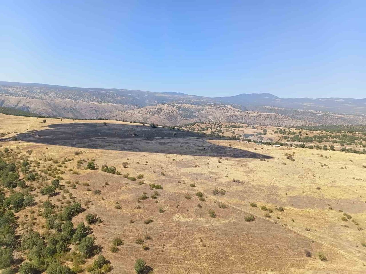 BOLU’NUN KIBRISCIK İLÇESİNE BAĞLI BALİ KÖYÜNDE BAŞLAYAN ORMAN YANGINI EKİPLERİN BİR BUÇUK SAATLİK...