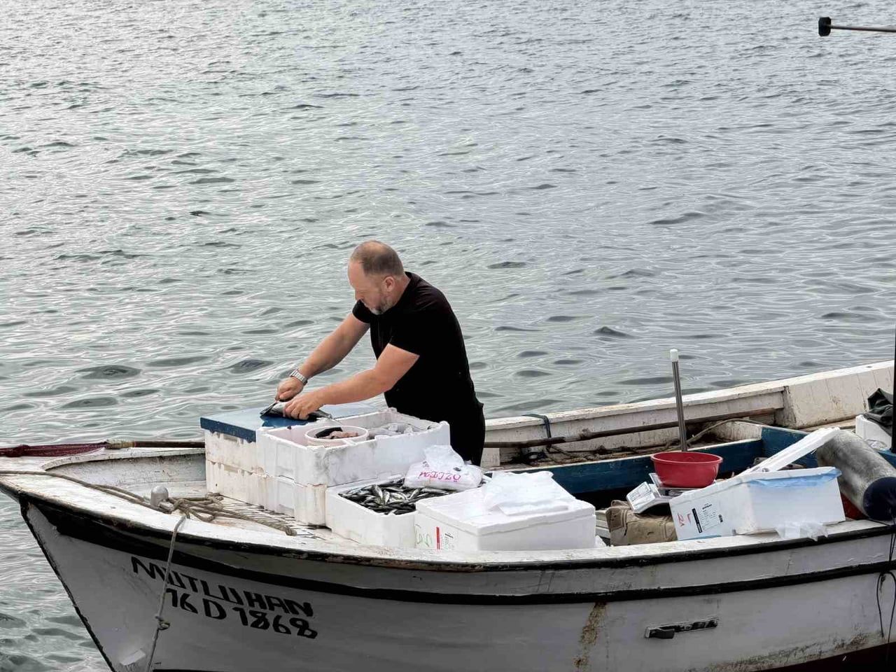 BALIK MEVSİMİNİN GELMESİ, EN ÇOK SAYFİYE YERLERİNDEKİ TATİLCİLERİ SEVİNDİRDİ. YALOVA’NIN ARMUTLU...