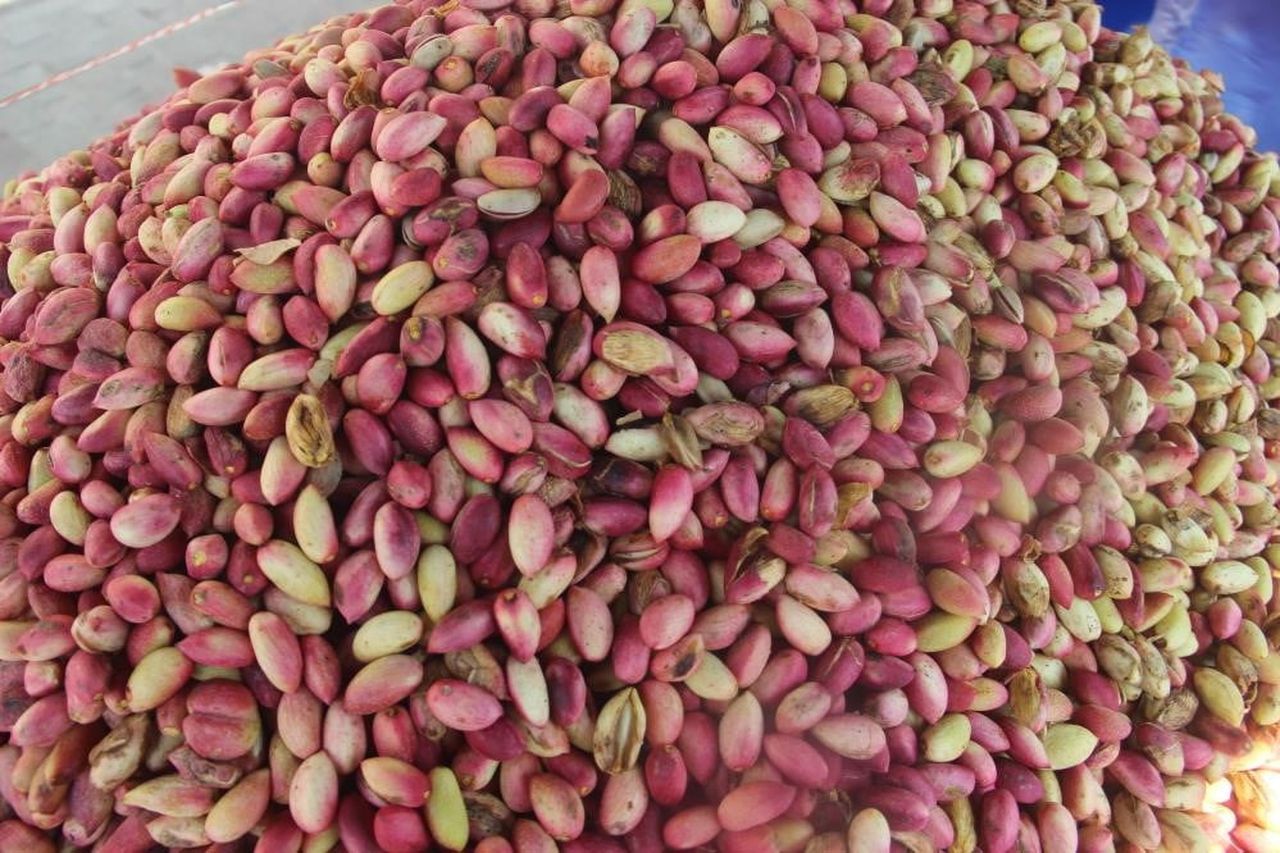 ANTEP FISTIĞI (ARŞİV)