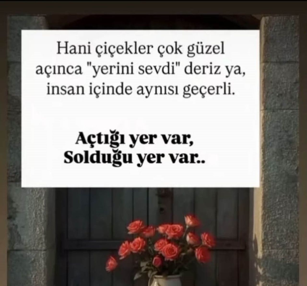 OLAYDA ÖLEN EMİNE ÇİL'İN SOSYAL MEDYA PAYLAŞIMI