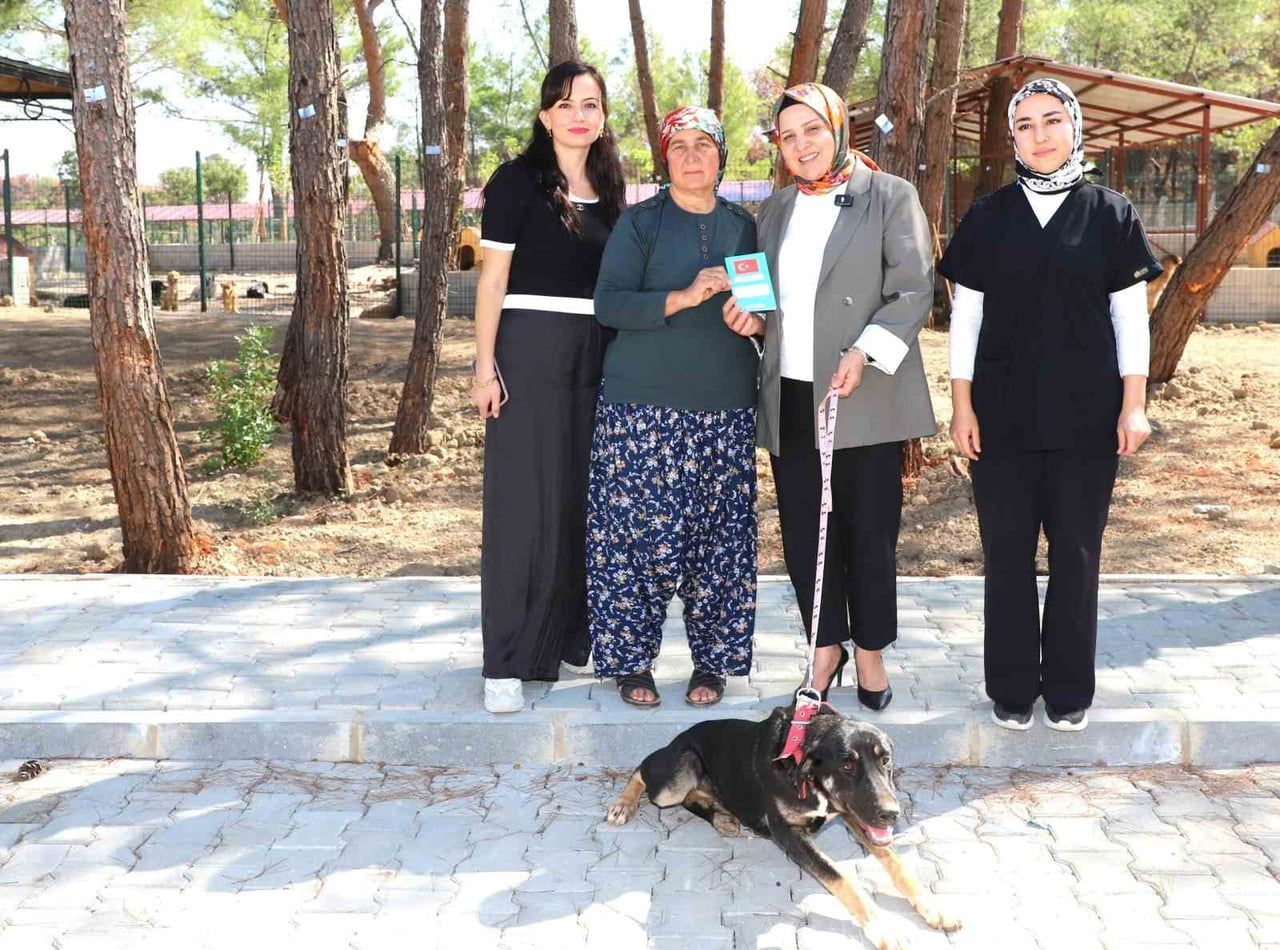 ANTALYA'NIN AKSU İLÇESİNDE 7 EYLÜL’DE MEYDANA GELEN ORMAN YANGININDAN ETKİLENEN SOKAK...