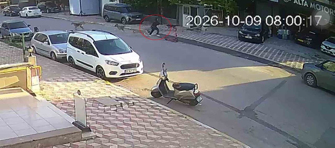 HATAY’DA OKULA GİTTİĞİ ESNADA SOKAK KÖPEKLERİNİN SALDIRISINA UĞRAYAN 15 YAŞINDAKİ KIZ ÖĞRENCİNİN...
