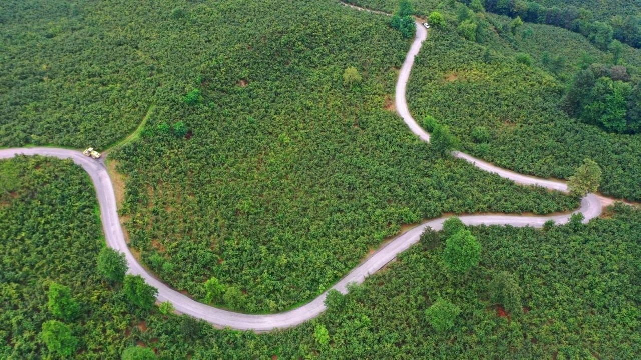 ÇALIŞMALARIN YAPILDIĞI YOL