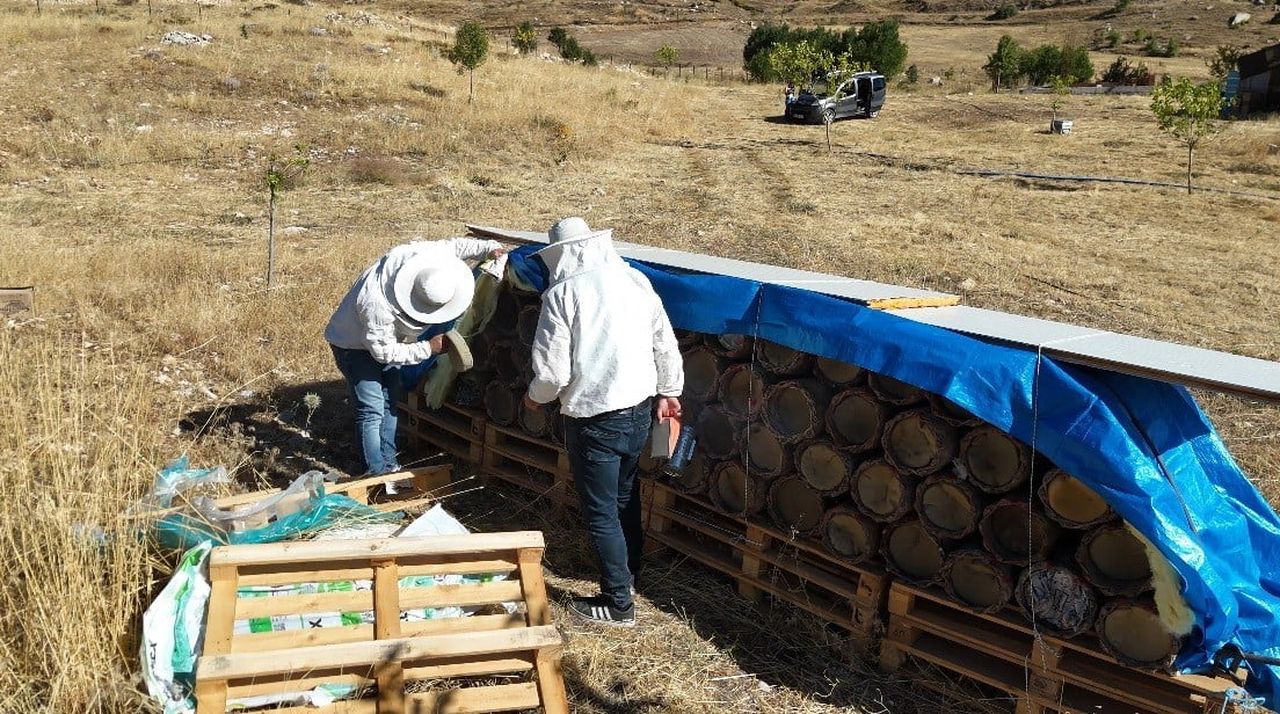 TUNCELİ’DE MODERN KOVANLARLA ARICILIK YAYGINLAŞSA DA ANADOLU’NUN YÜZYILLARDIR SÜREGELEN GELENEKSEL...