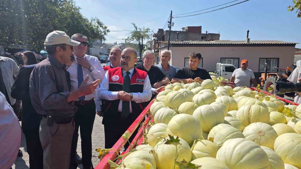 BALIKESİR’DE ATA TOHUMUYLA YETİŞTİRİLEN BEYAZ KAVUNUN HASADI BAŞLADI