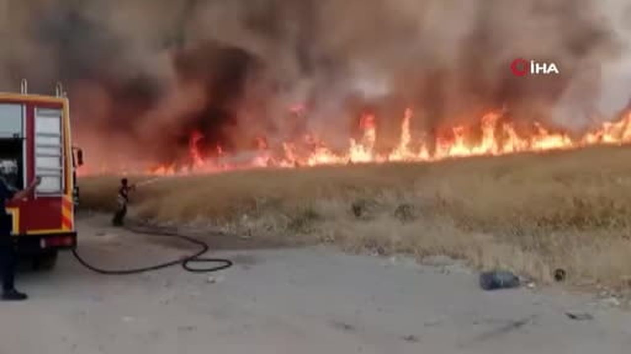 Ankara’da otluk alan yangını