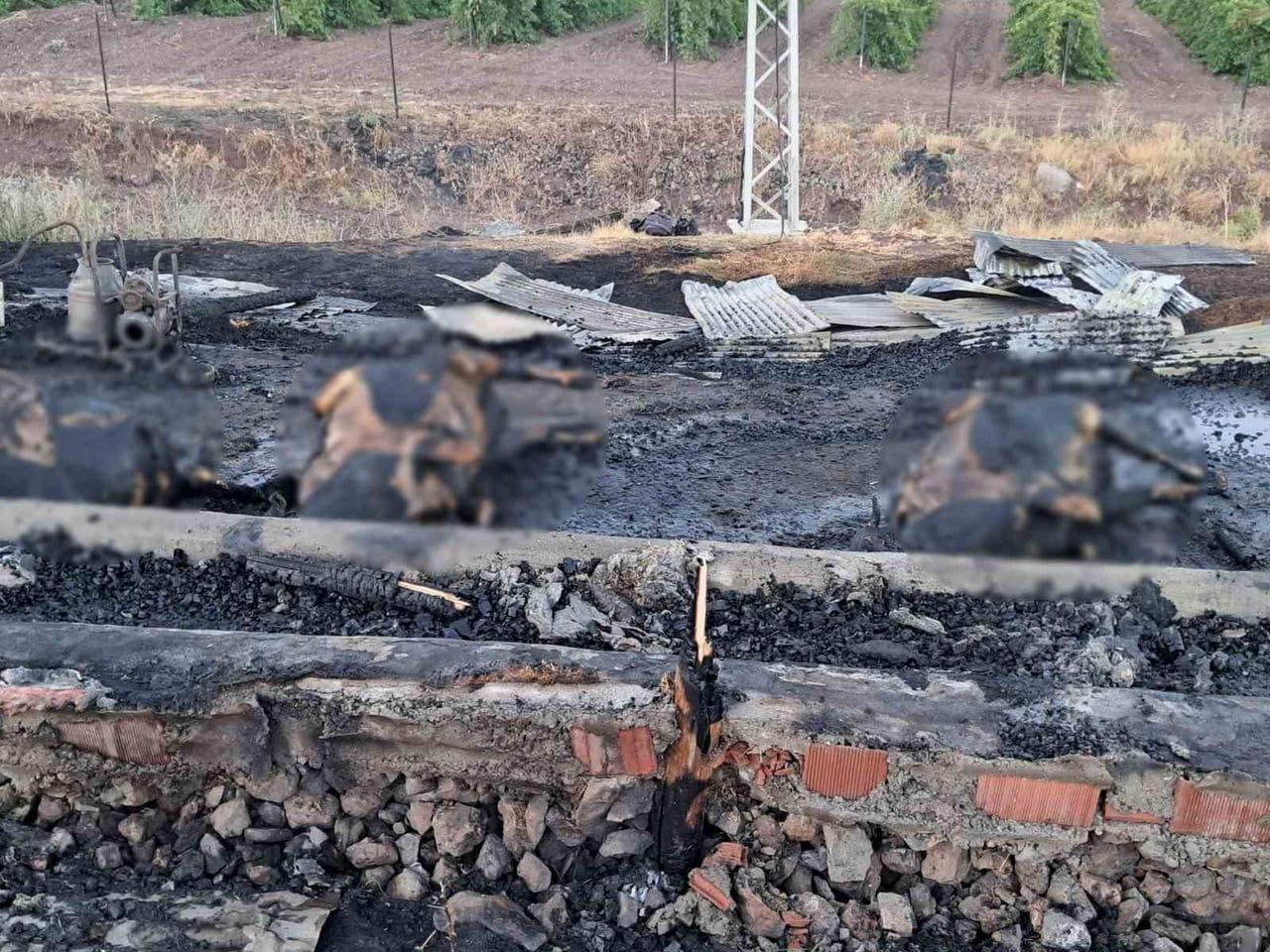 ELAZIĞ’DA 10 GÜN ÖNCE ALINAN VE GEBE OLDUĞU ÖĞRENİLEN 3 İNEK, ÇIKAN YANGINDA TELEF OLDU