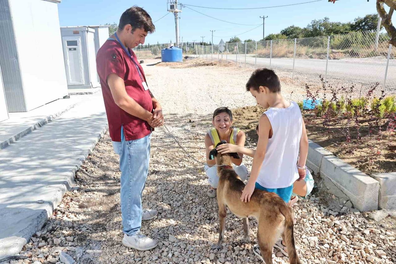 NİLÜFER BELEDİYESİ UMUT AĞACI SAHİPSİZ HAYVANLAR DOĞAL YAŞAM VE SAHİPLENDİRME MERKEZİ'NDE KORUMA...