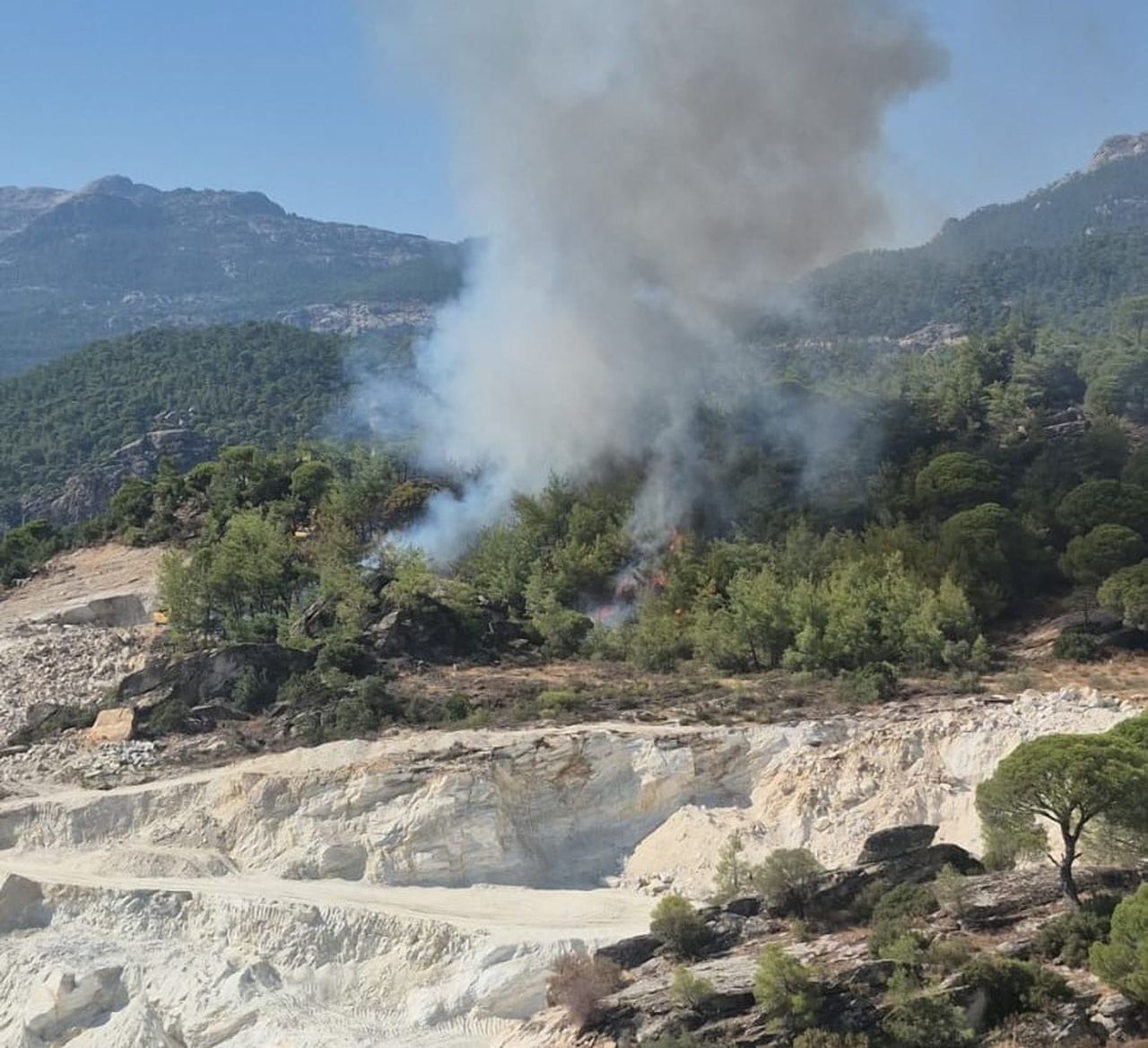 MİLAS’TA ORMAN YANGINI