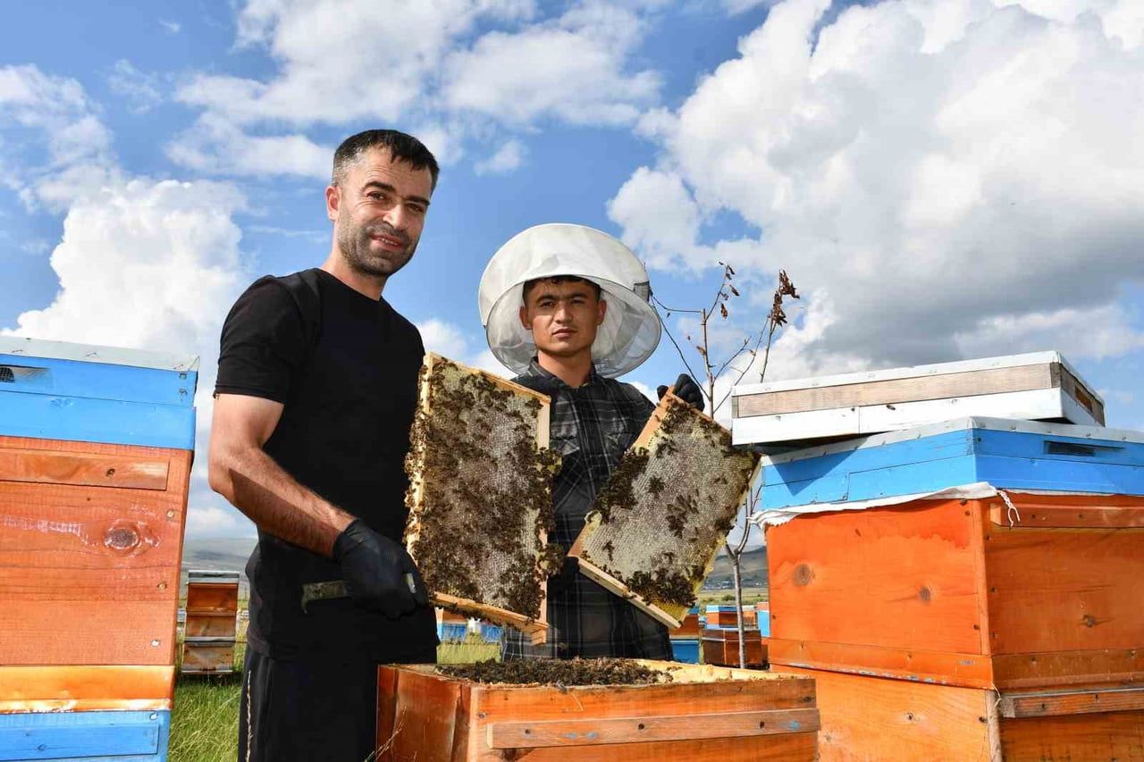 ARDAHAN MERKEZE BAĞLI KAZLIKÖY'DE ARICILIK YAPAN CÜNEYT MOSTURA BU YILKİ HASATTAN MEMNUN OLDUĞUNU...