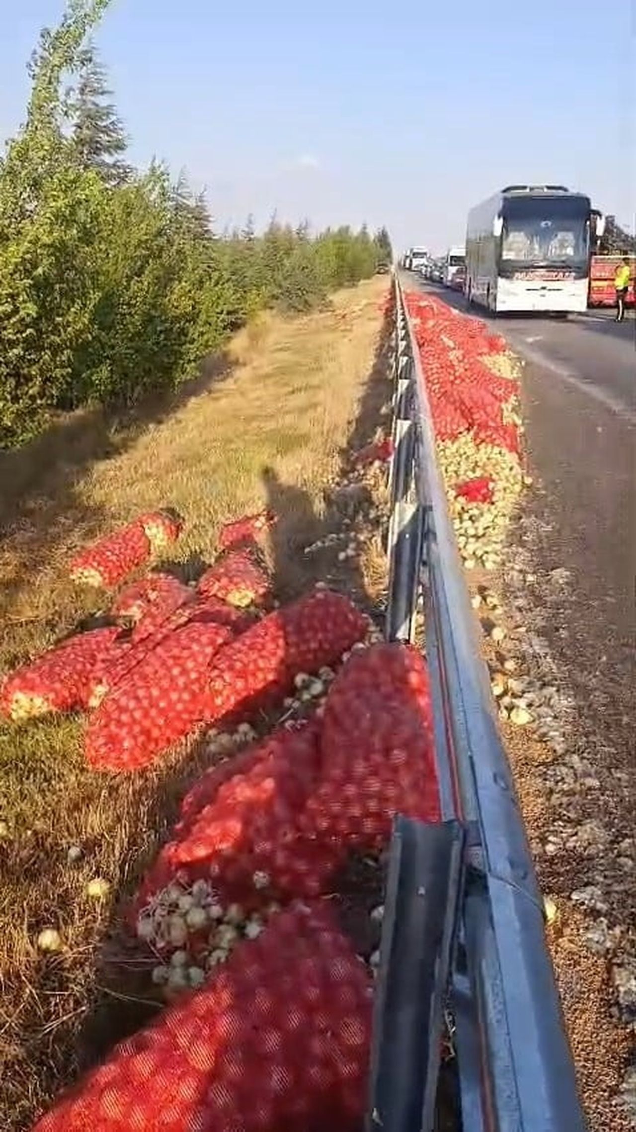 ESKİŞEHİR-SİVRİHİSAR KARA YOLUNDA KONTROLDEN ÇIKARAK DEVRİLEN TIR NEDENİYLE YOLA SAÇILAN TONLARCA...