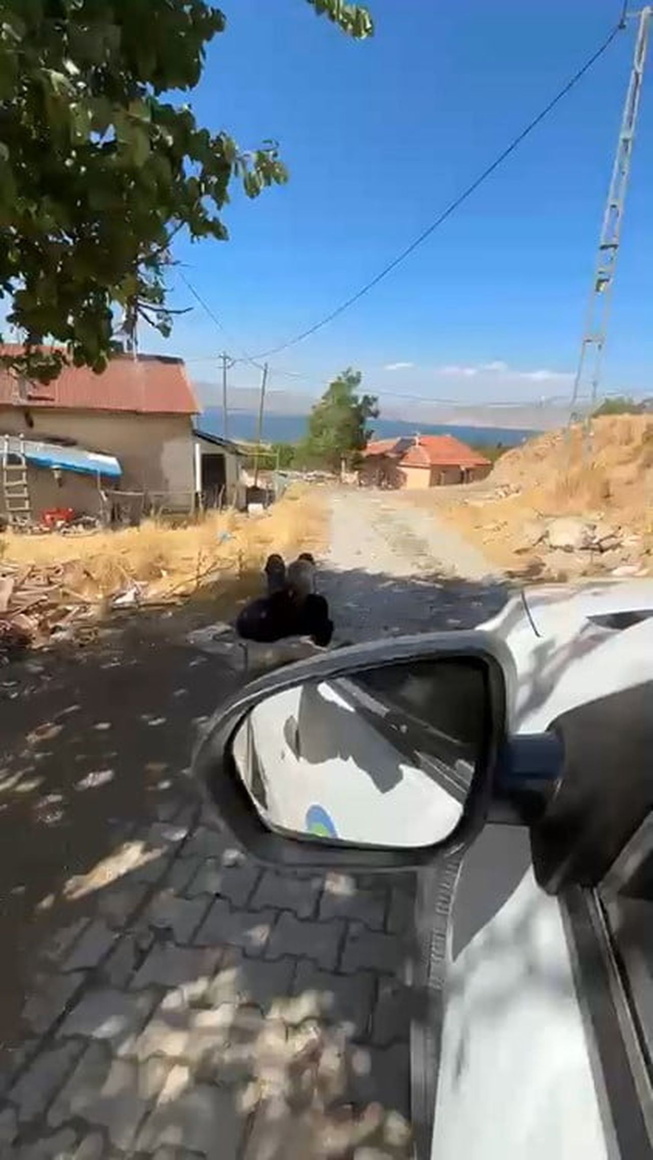ELAZIĞ'DA YAŞLI BİR ADAM, ELİNDEN ZİNCİRLE AĞACA BAĞLANMIŞ ŞEKİLDE GÖRÜNTÜLENDİ.
