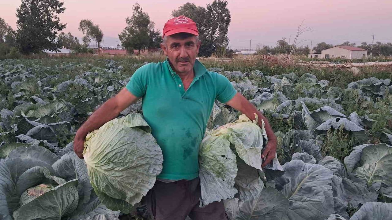 ERZURUM’UN AZİZİYE İLÇESİNE BAĞLI KIRSAL SÖĞÜTLÜ MAHALLESİ’NDE, BÖLGENİN ÖNEMLİ TARIM ÜRÜNLERİNDEN...