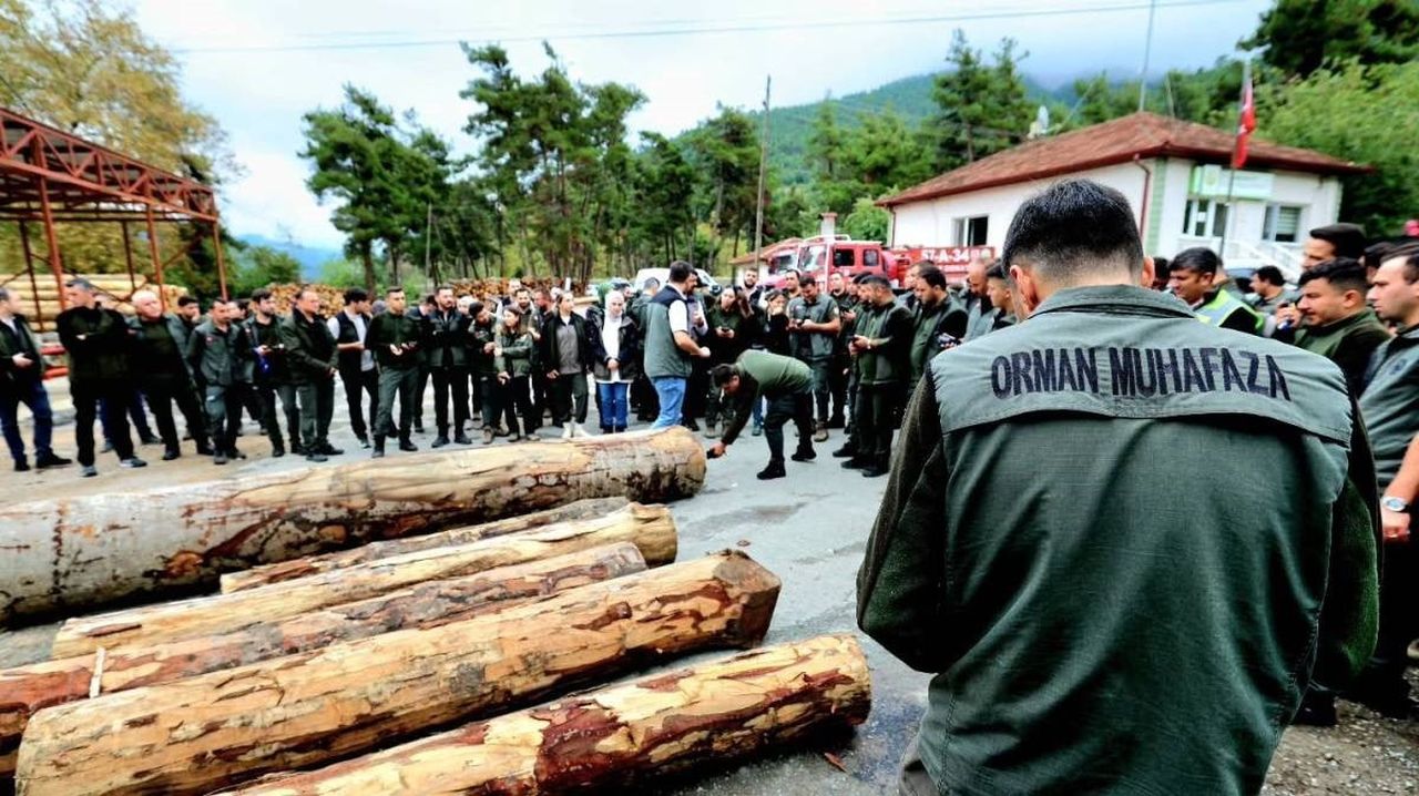 SİNOP ORMAN BÖLGE MÜDÜRLÜĞÜ BÜNYESİNDE GÖREV YAPAN ORMAN İŞLETME ŞEFLERİ VE ORMAN MUHAFAZA...