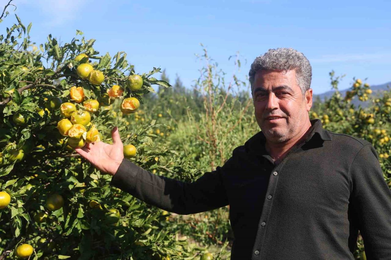 ÜRETİCİ SAMİ KESKİN