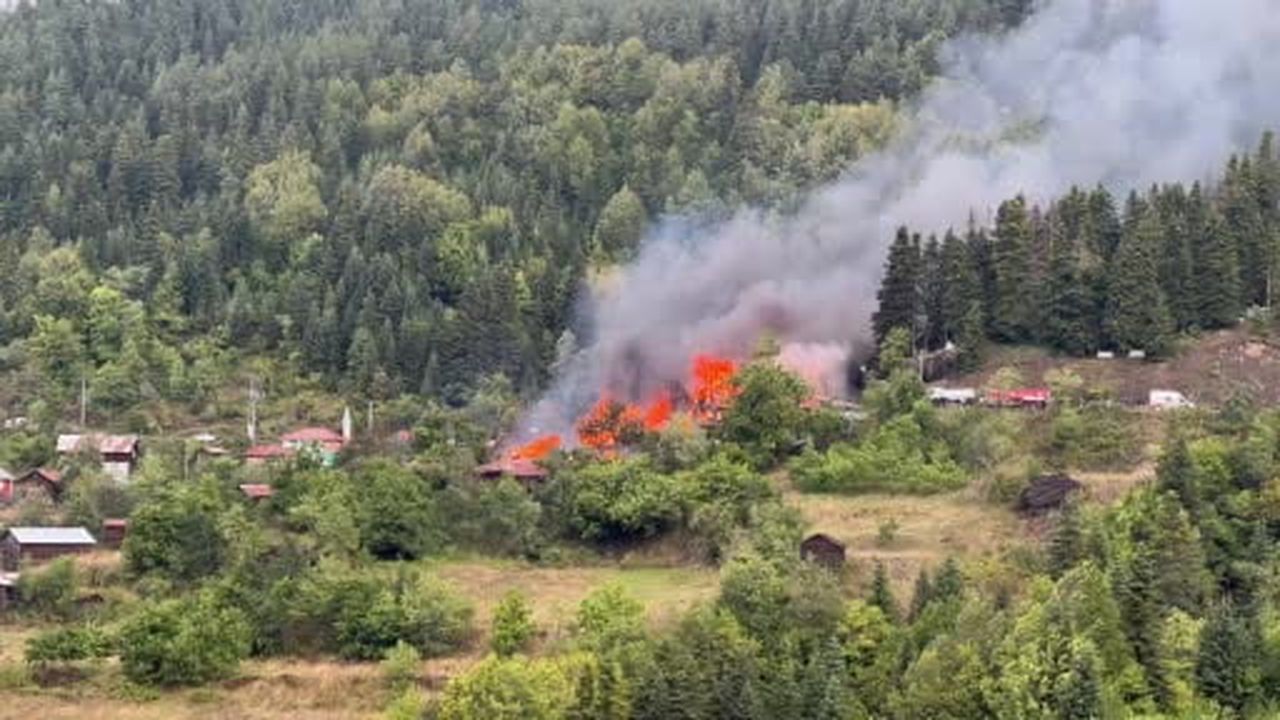 Kastamonu'da 4 ev alevlere teslim oldu
