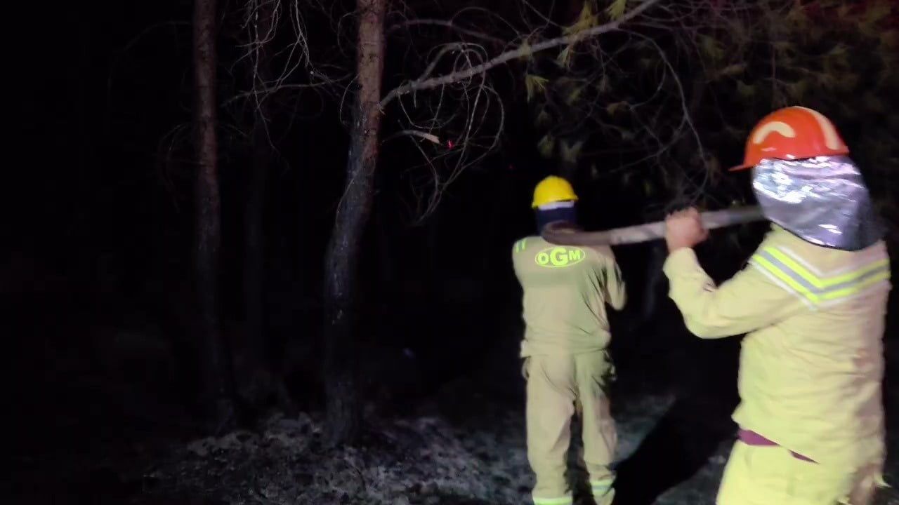 KAŞ İLÇESİ PALAMUT VE PATARA MAHALLELERİNDE SABAH SAATLERİNDE BAŞLAYAN VE YAKLAŞIK 10...
