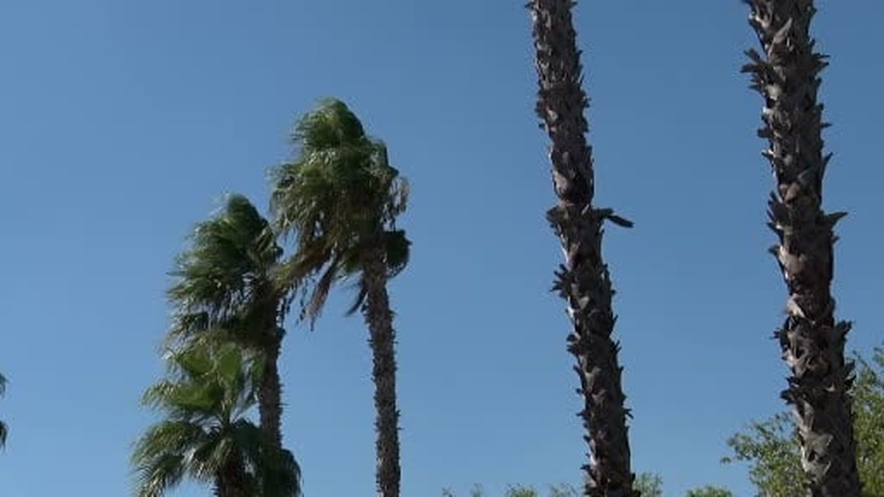 Antalya körfezinde mikroplastik temizliğine poyraz dopingi