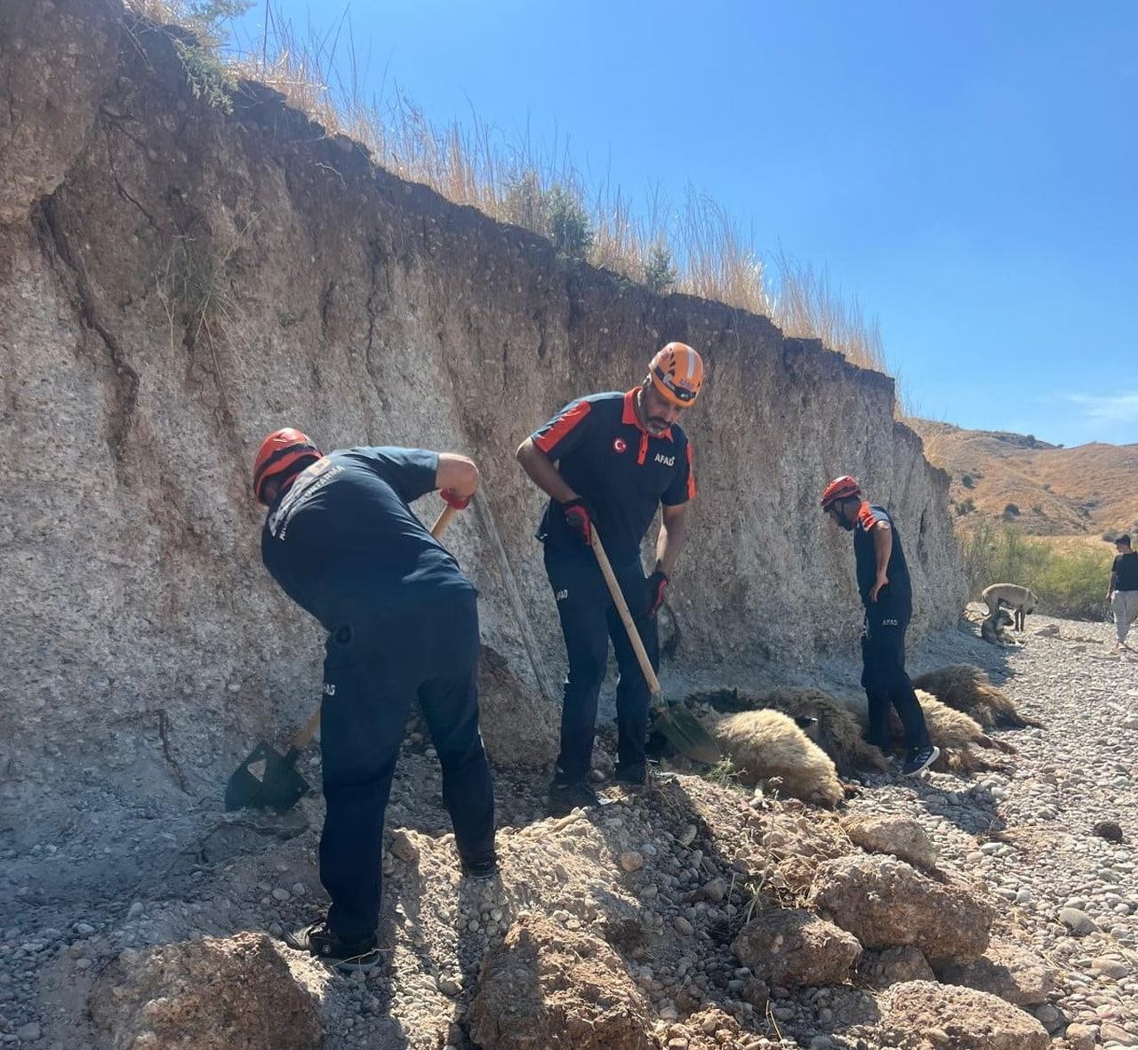 ADIYAMAN’IN KAHTA İLÇESİNDE TOPRAK KAYMASI SONUCU TOPRAK ALTINDA KALAN 9 KÜÇÜKBAŞ HAYVANDAN 6’SI...