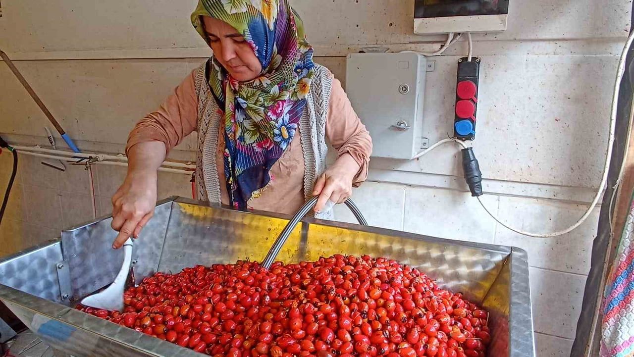 HAVZA’DA VATANDAŞLAR KIŞLIK HAZIRLIKLARI