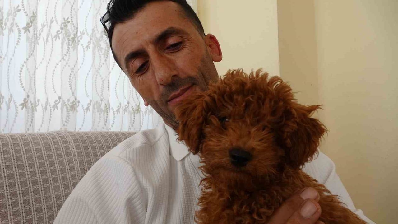 NECATİ GÜRLEVİK