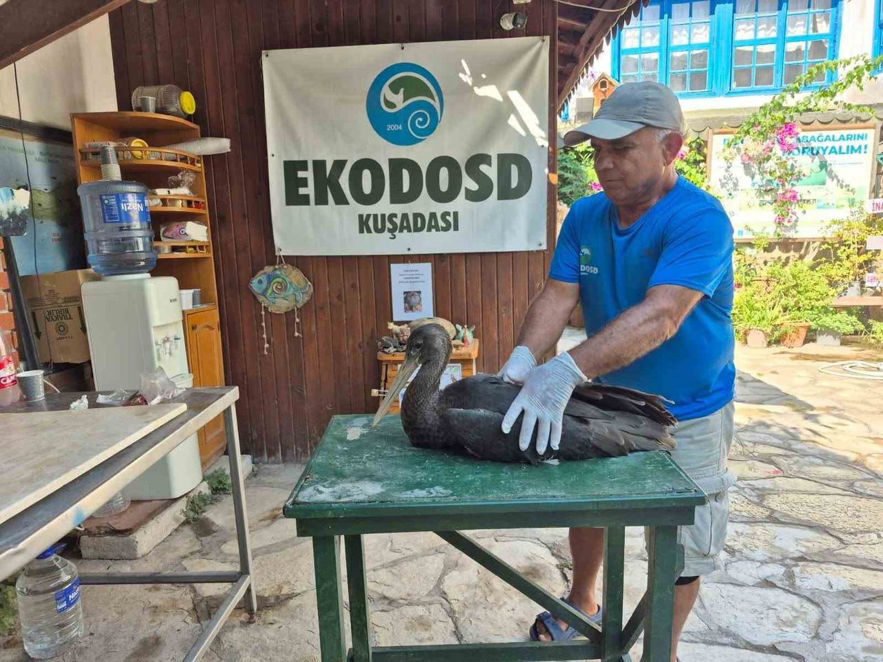 AYDIN’IN SÖKE İLÇESİNDE AZMAK KIYISINDA KOYUNLARINI OTLATAN SELAMİ GÜNDÜZ TARAFINDAN YARALI HALDE...
