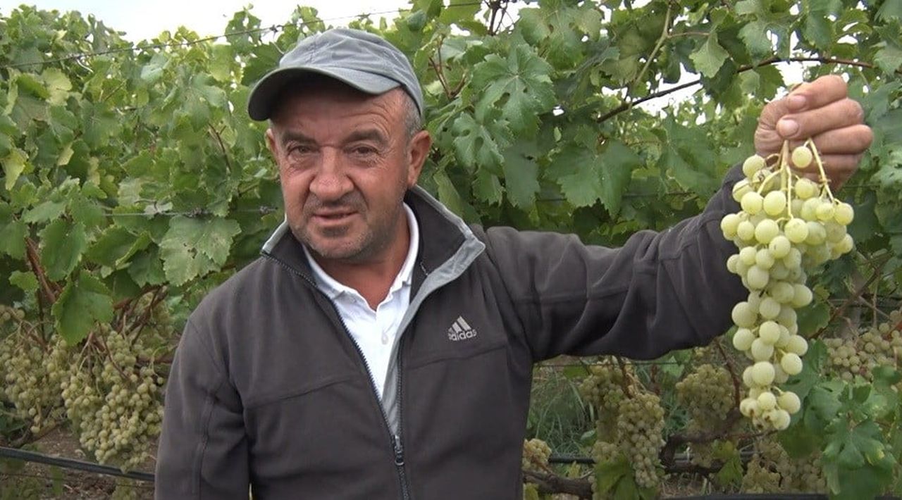 İZNİK ÇAMDİBİ MAHALLESİ MUHTARI VE ÜZÜM ÜRETİCİSİ HALİL KÜÇÜKER, ARACILAR NEDENİYLE ÜRETİCİ İLE...