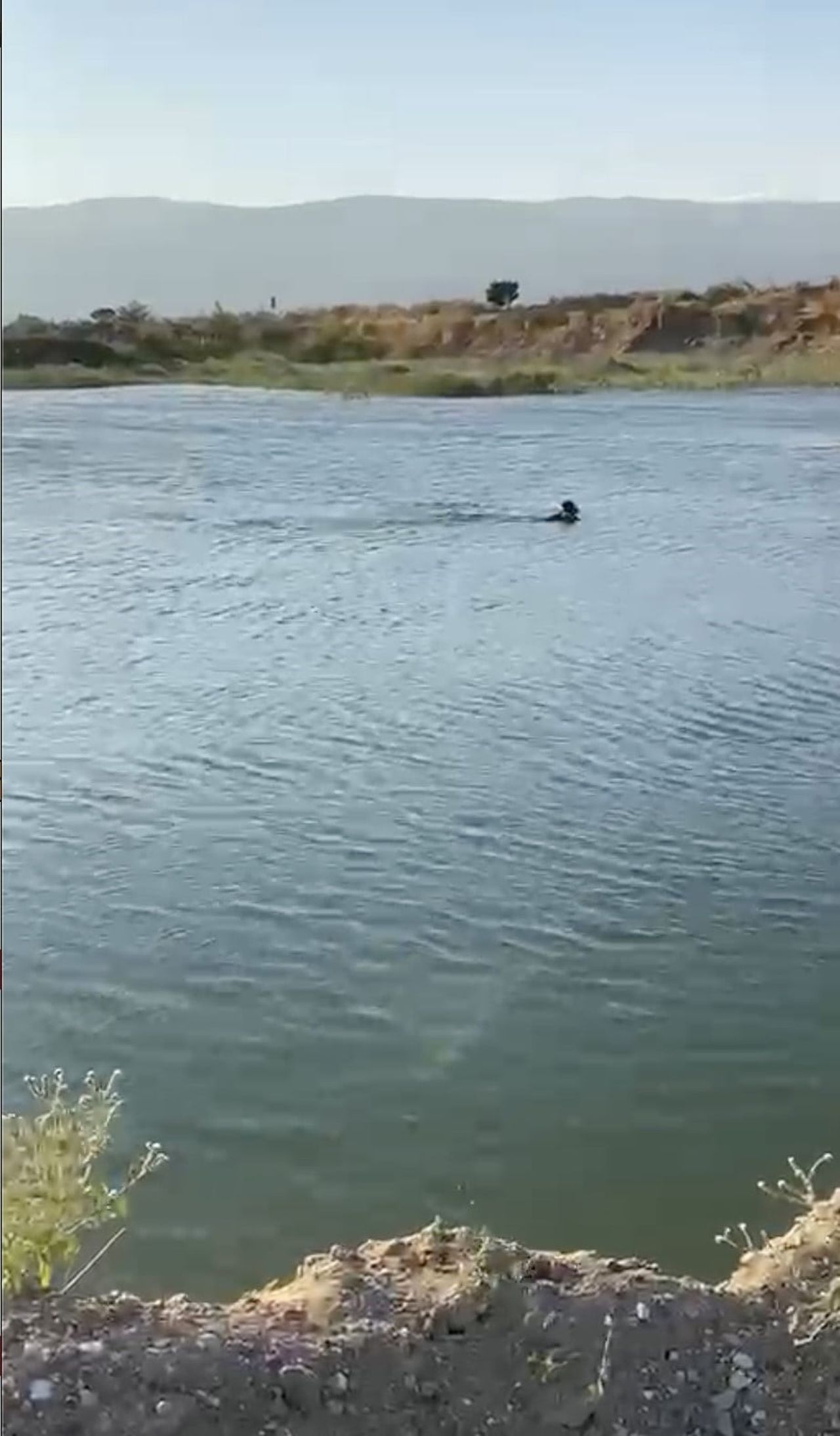 SAKARYA’NIN PAMUKOVA İLÇESİNDE ARKADAŞIYLA SERİNLEMEK İÇİN SAKARYA NEHRİ KENARINDA BULUNAN GÖLETE...