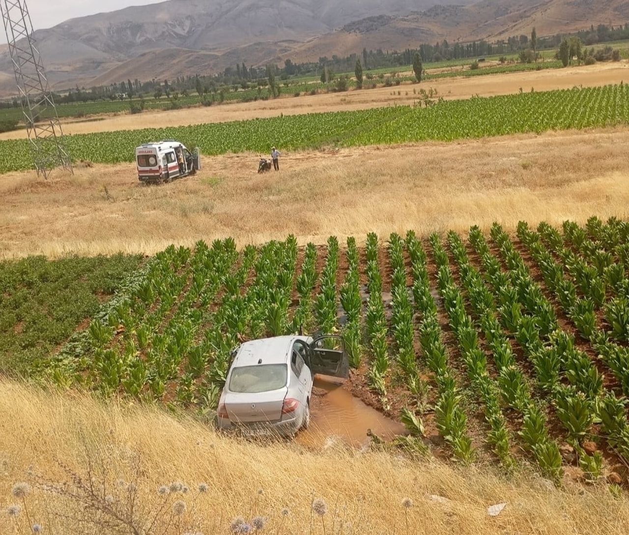 MALATYA’DA OTOMOBİL TÜTÜN TARLASINA DÜŞTÜ: 3 YARALI