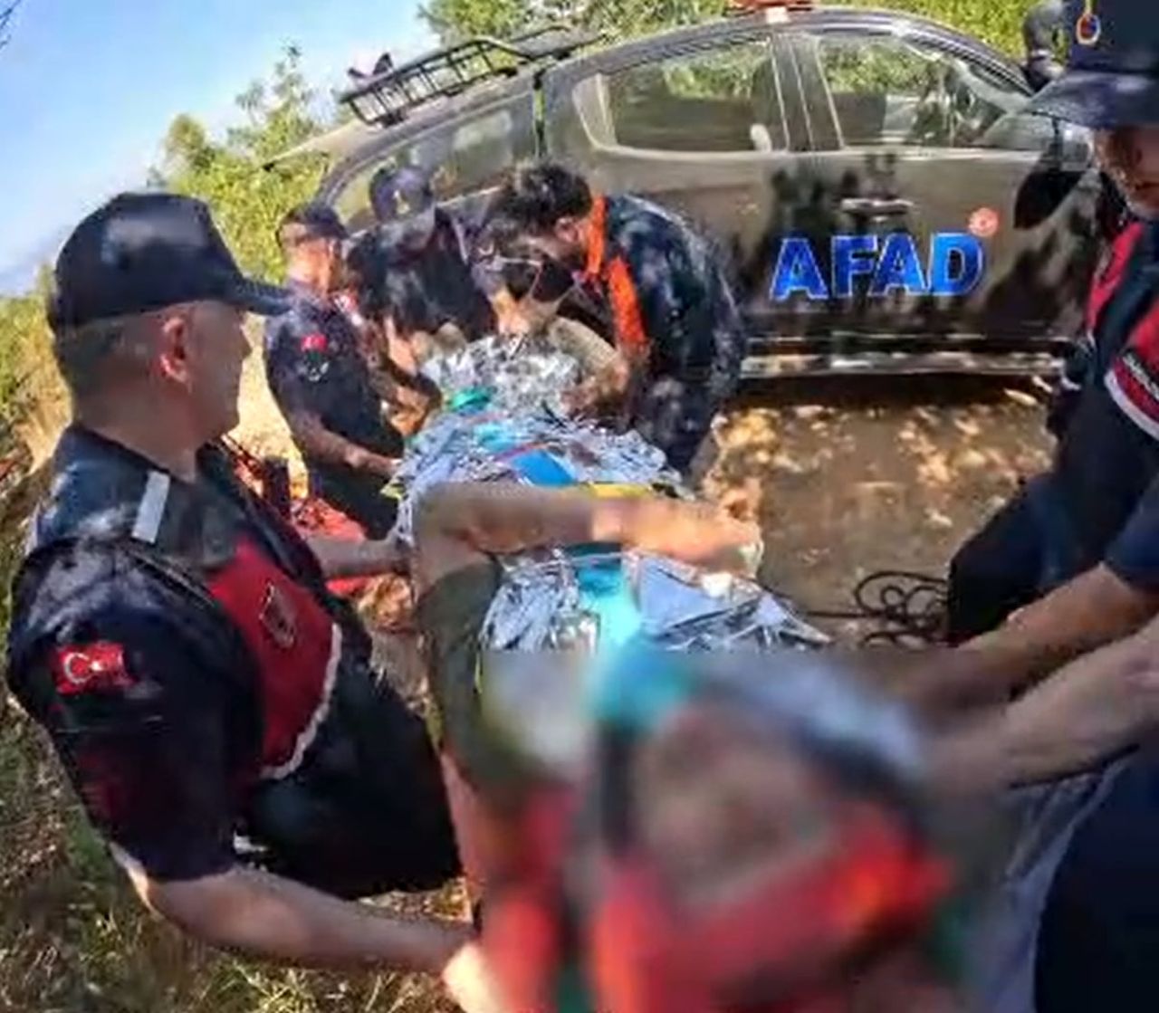 YALOVA'NIN ÇINARCIK İLÇESİNDE ORMANLIK ALANDA YÜRÜYÜŞ YAPTIĞI SIRADA YAKLAŞIK 7 METRE...