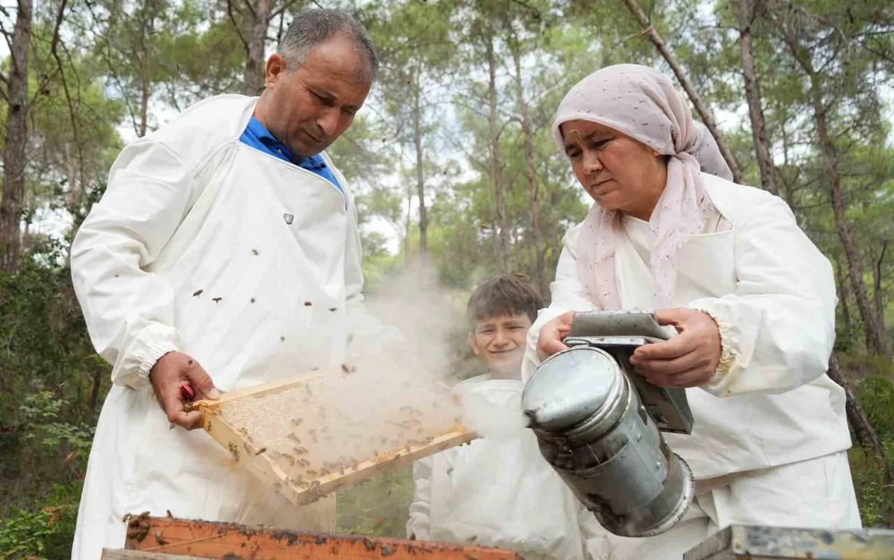 MERSİNLİ ARICILAR, MUĞLALI ARACILILARLA BİRLİKTE ÜRETİLEN BALIN HASADINA İSE BUGÜNLERDE BAŞLADI....