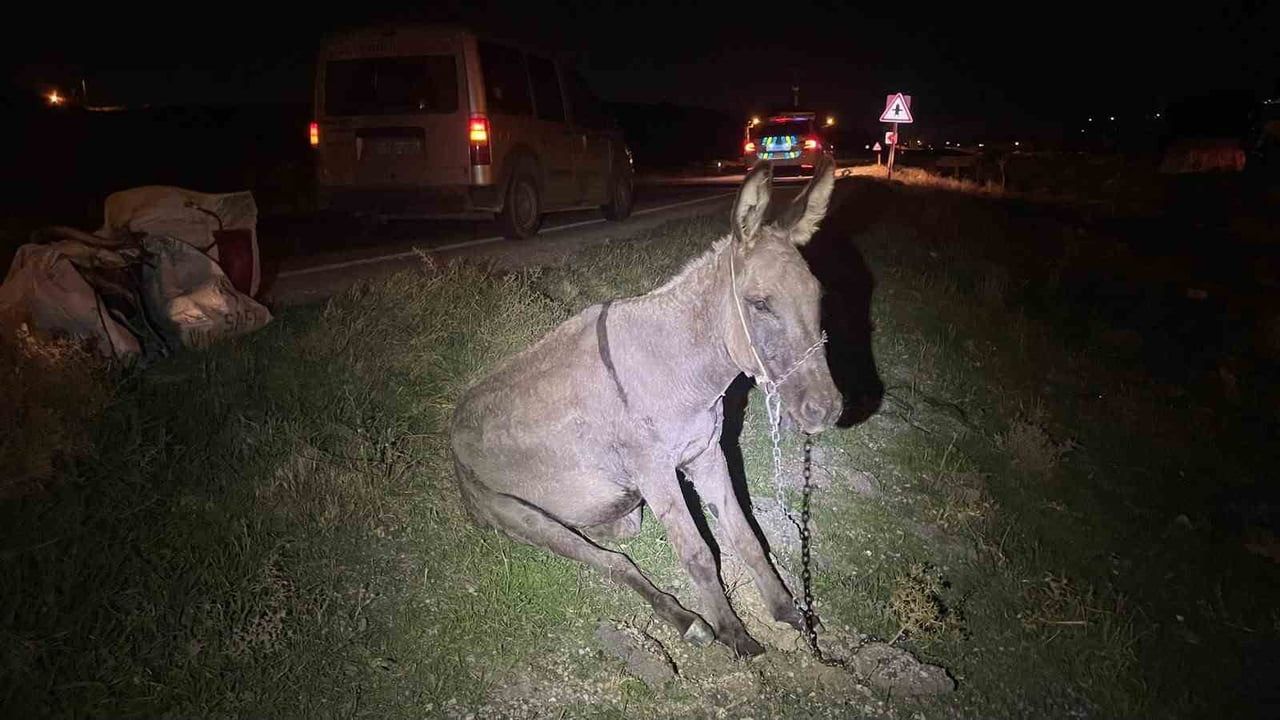 KARAMAN’DA ANİDEN YOLA ÇIKAN EŞEĞE HAFİF TİCARİ ARACIN ÇARPMASI SONUCU ARAÇTA MADDİ HASAR MEYDANA...