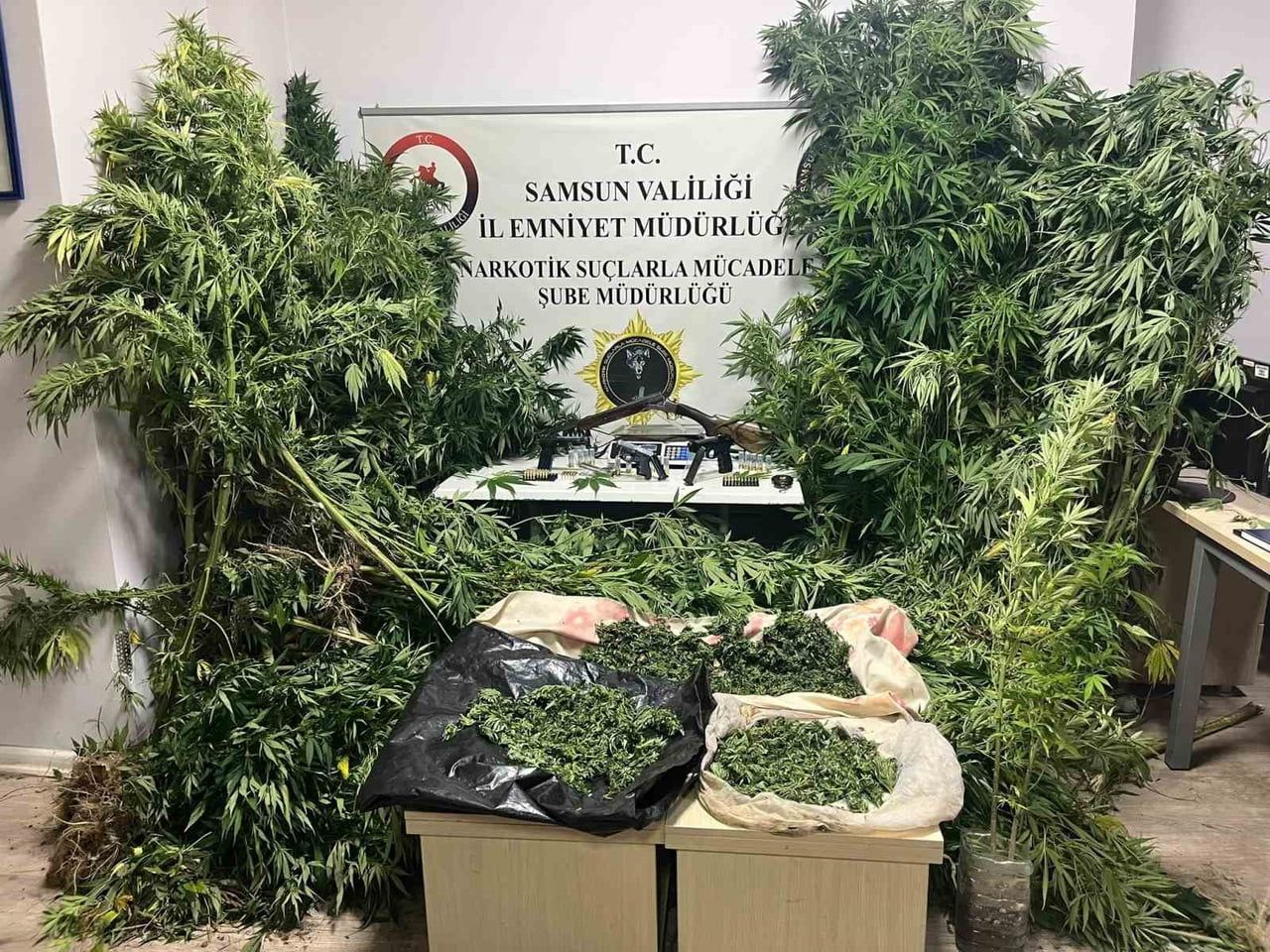 SAMSUN’UN BAFRA İLÇESİNDE POLİS EKİPLERİNCE YÜRÜTÜLEN ÇOK YÖNLÜ ÇALIŞMALAR SONUCU, TÜTÜN...