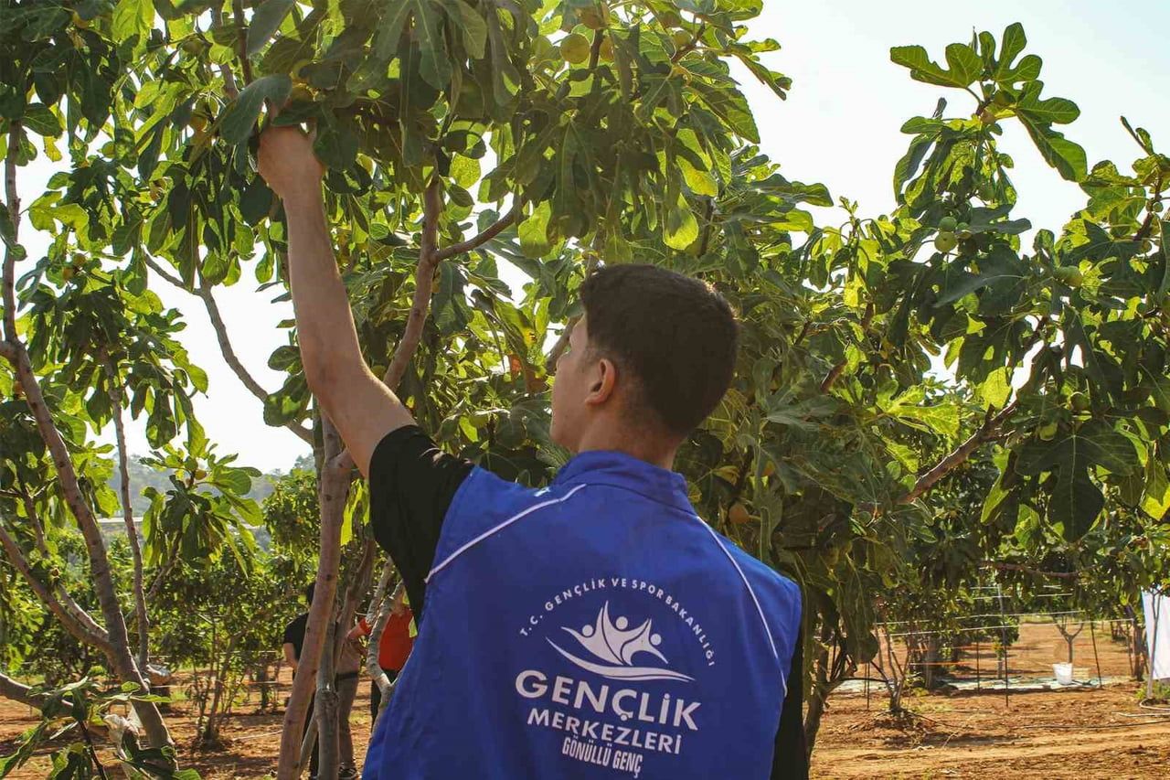 AYDIN’IN GERMENCİK İLÇESİNDE GENÇLİK MERKEZİ BÜNYESİNDE FAALİYET GÖSTEREN GÖNÜLLÜ GENÇLER...