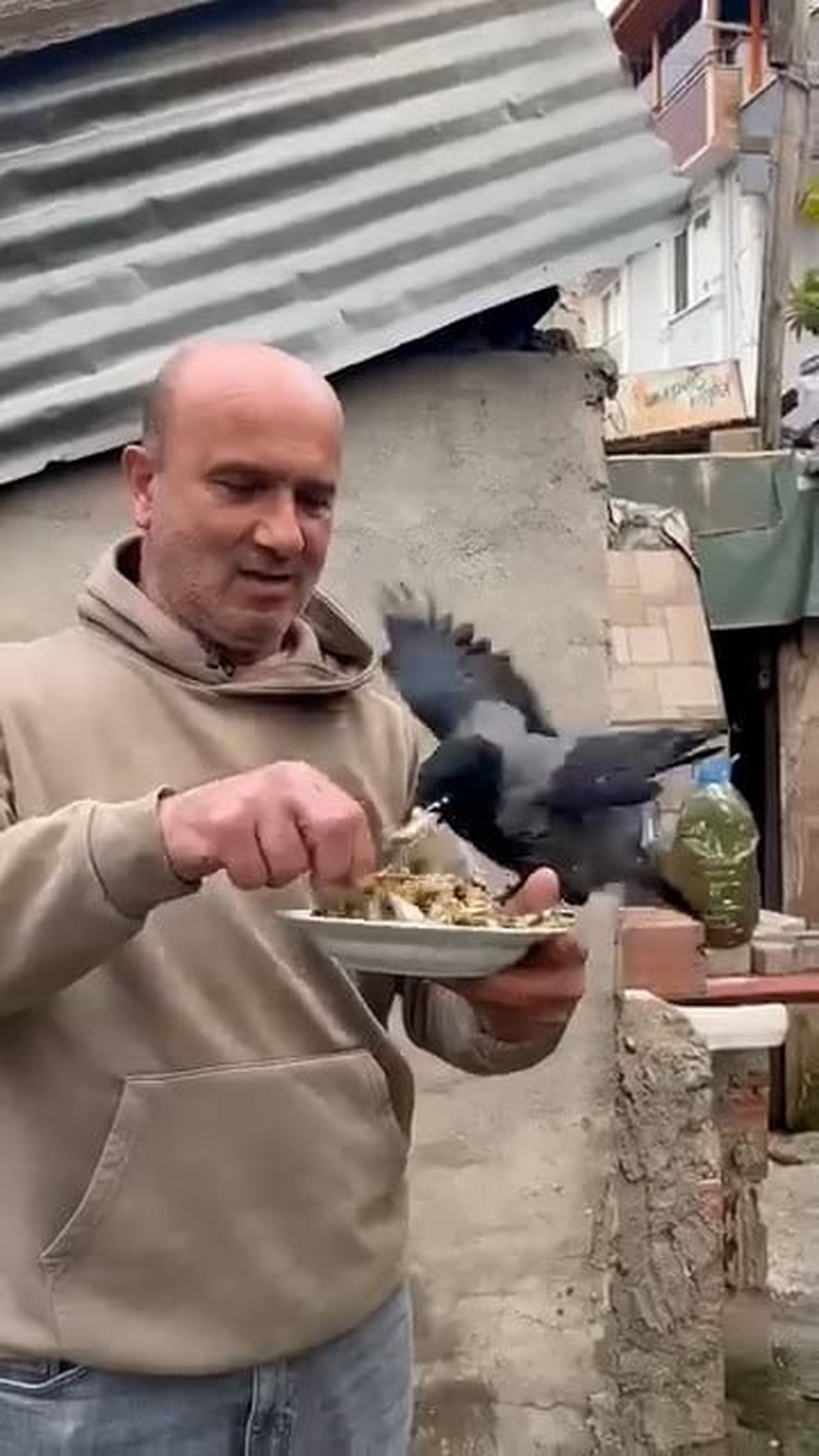 KOCAELİ'NİN KÖRFEZ İLÇESİNDE 4 YILDIR BESLEDİĞİ KARGASINA ELİYLE BALIK YEDİREN UZUN YOL ŞOFÖRÜNÜN...
