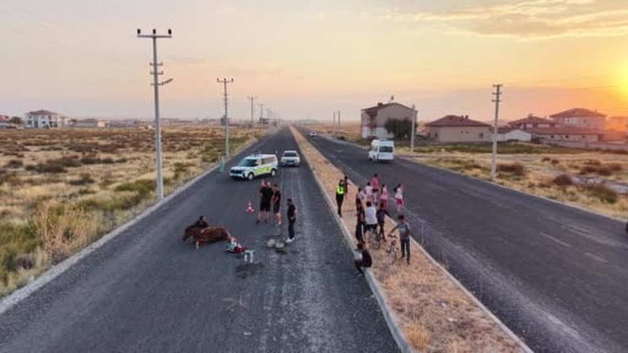 Acılar içinde kıvranan yaralı ata 4 saatlik eziyet verici kurtarma çalışması