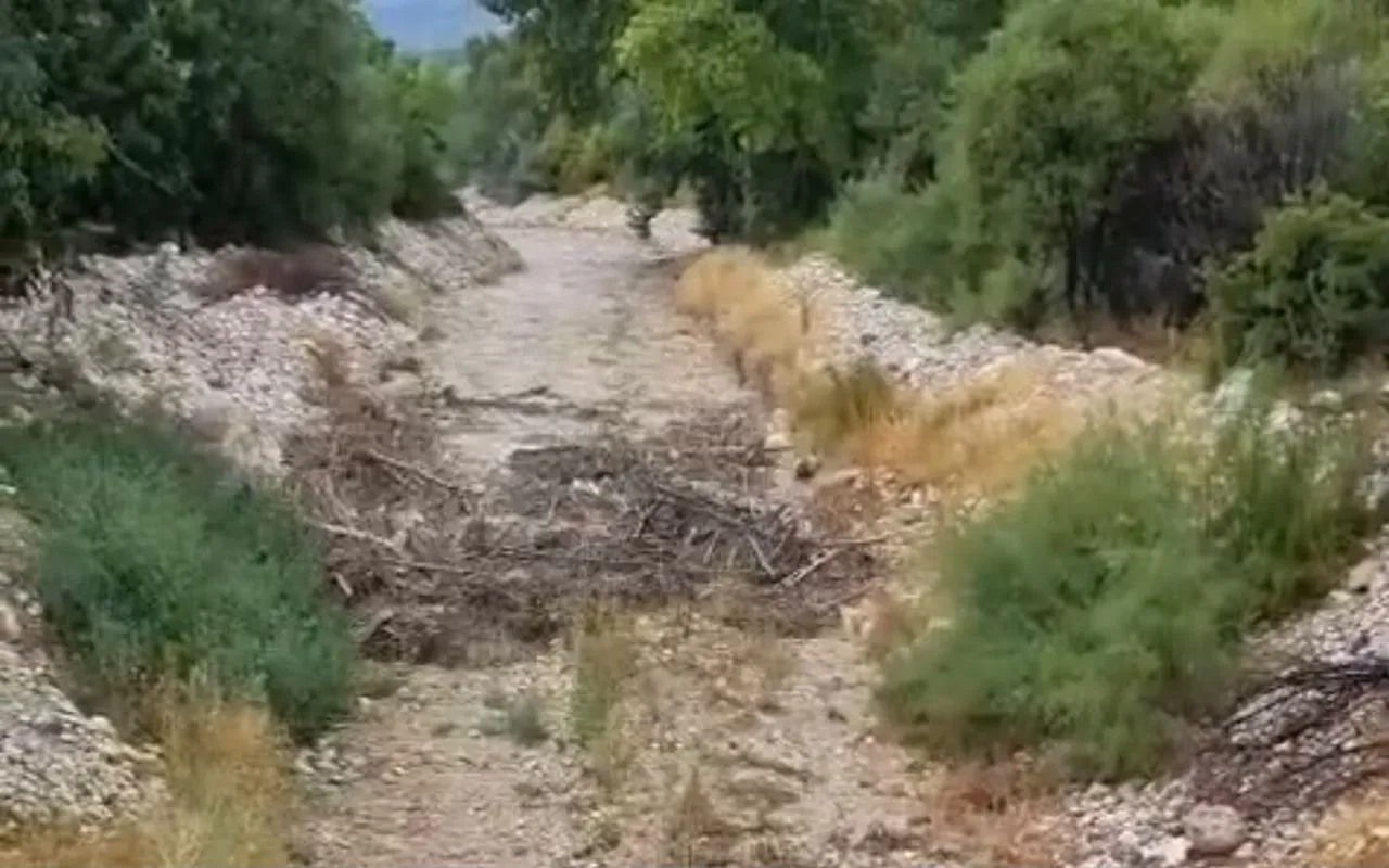 MALATYA'NIN HEKİMHAN İLÇESİNE BAĞLI KOCAÖZÜ MAHALLESİ'NDE ETKİLİ OLAN SAĞANAK YAĞIŞ SONRASI SEL...