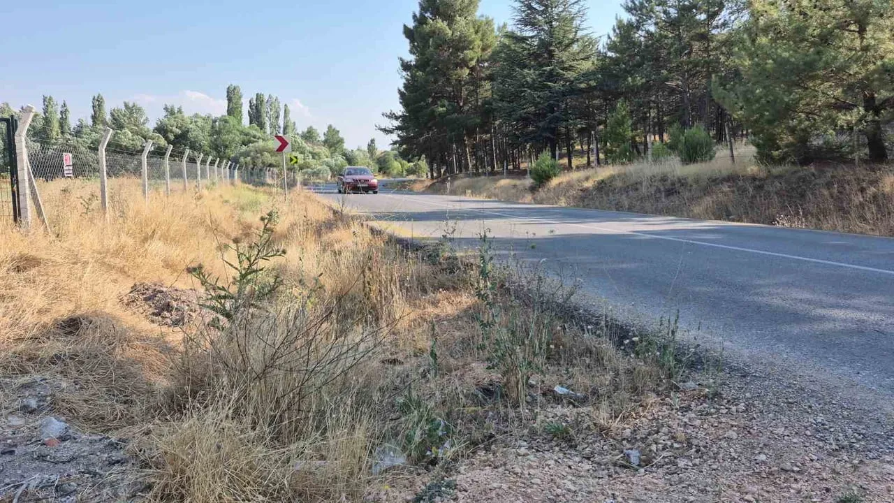 ESKİŞEHİR'DE BİRÇOK KÖYÜ KENTE BAĞLAYAN GRUP YOLUNUN KENARLARINDA BOYU YARIM METREYİ BULAN KURUMUŞ...
