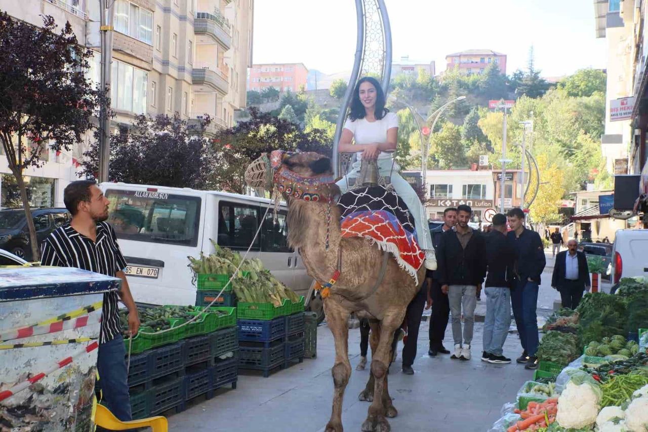 HAKKARİ'DE DÜZENLENEN YÖRESEL ÜRÜNLER ETKİNLİĞİ İÇİN HATAY'DAN GETİRİLEN DEVE VE MİDİLLİLER YOĞUN...