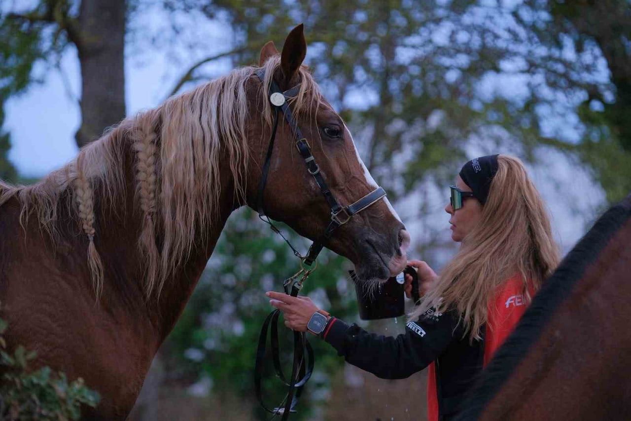 KOCAELİ, 117 BİNİCİNİN KATILDIĞI ULUSAL VE ULUSLARARASI ATLI DAYANIKLILIK YARIŞLARI’NA EV...